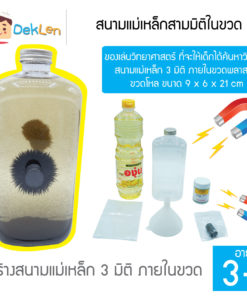 สนามแม่เหล็กสามมิติในขวด