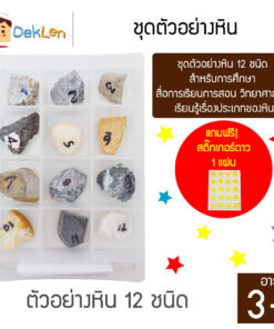ชุดตัวอย่างหิน 12 ชนิด สำหรับการศึกษา สื่อการเรียนการสอน วิทยาศาสตร์ เรียนรู้เรื่องประเภทของหิน