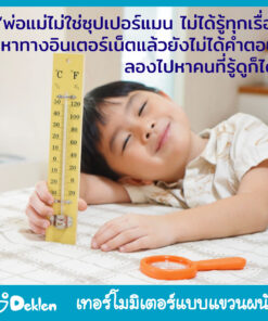 เทอร์โมมิเตอร์